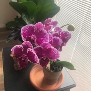 Meet your Posher, Terri